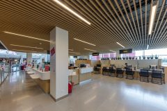 E-Line_0_250206_0006