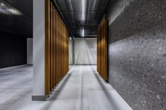 E-Line_Next_0_220105_004