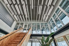 E_Line_NEXT_LED_0_211109_0012