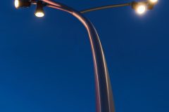 Faciella_0_170419_022