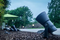 Faciella_0_180503_006