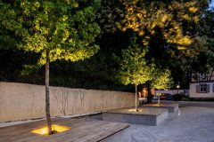 Faciella_0_210602_008