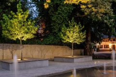 Faciella_0_210602_011