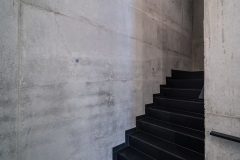 Finea_0_240513_0008