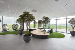 InperlaLP_0_12032017_010