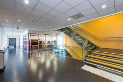 InperlaLP_0_170418_009