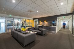 InperlaLP_0_170418_016