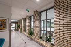 InperlaLP_0_170419_0006