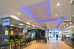 InperlaLP_0_170419_033