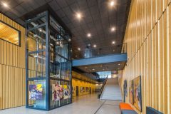 InperlaLP_0_170421_038