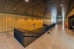 InperlaLP_0_170421_044