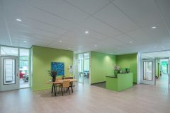 InperlaLP_0_170602_046