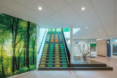 InperlaLP_0_170602_047