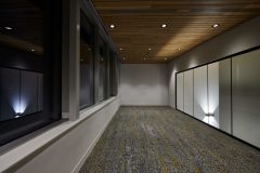 InperlaLP_0_181115_0003