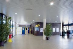 INPERLA_00019_DB_Asset