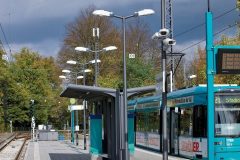 LUMEGA_00177_DB_Asset