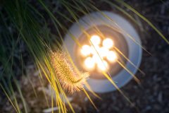 Lutera_0_220816_0006