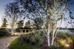 Lutera_0_220816_0021