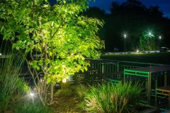 Lutera_0_180503_001