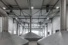 Mirona_0_240716_0006