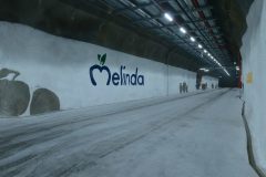 NEXTREMA_II_00034_DB