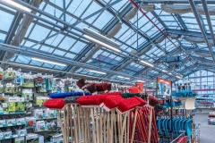 Oleveon_0_161206_082