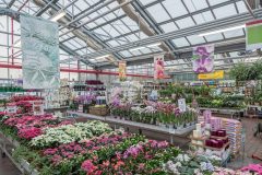 Oleveon_0_161206_165