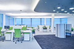 Parelia_0_181210_0047