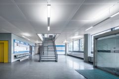 Parelia_0_210407_0019