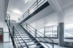 Parelia_0_210407_0021