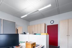 Parelia_0_210407_0075