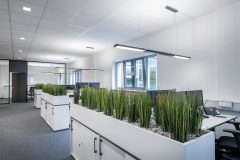 Parelia_0_230725_0002