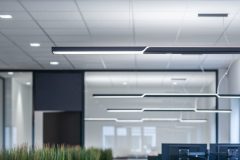 Parelia_0_230725_0003