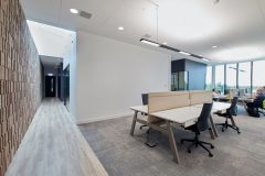 Parelia_LED_0_210816_0004