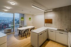 PolaronIQ_0_161024_0002