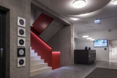 PolaronIQ_0_171103_3854