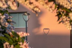 PubliscaP1_0_180607_005