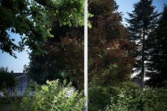 Publisca_0_160607_009