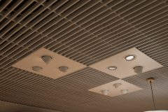 Quira_0_250206_0015