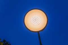 11082025-L1010417
