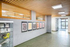 Siella_0_170222_0008