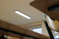 Siella_0_250203_0002