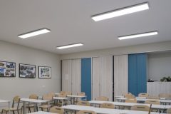 Siella_0_250203_0004