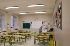 Siella_0_250203_0005