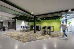 Sonnos_0_250603_0001