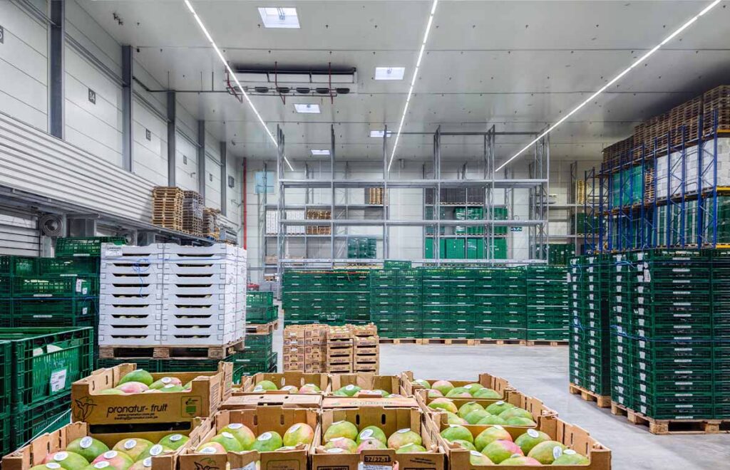 Stor fruktlager upplyst av långa linjära LED-armaturer från PROLJUS AB som ger jämnt, skuggfritt och energieffektivt vitt ljus över pallar och hyllor, idealiskt för produktvisning och förbättrad arbetsmiljö