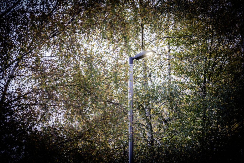 PROLJUS AB:s moderna gatulykta lyser klart bland trädens höstlöv, energieffektiv och stilren armatur som ger riktat ljus och förhöjer utemiljön