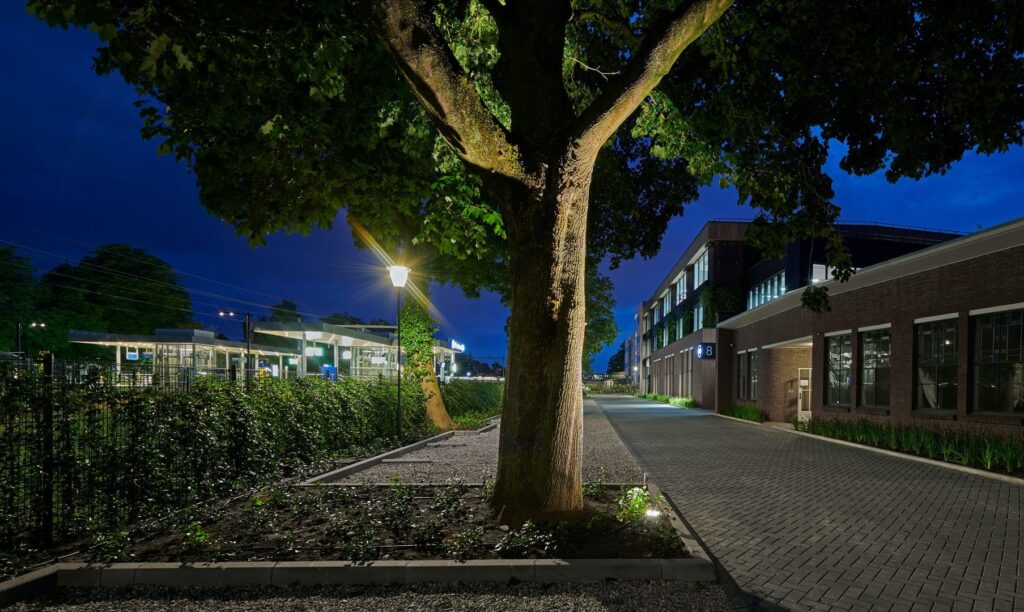 Kvällsbild där PROLJUS AB:s LED-lampor lyser upp en lönn och byggnadsfasad med varmvit punkt- och markbelysning som skapar trygg, energieffektiv och säljande atmosfär för kommersiella miljöer